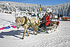 Mt. Kopaonik